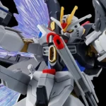 HG Strike Freedom Gundam Type II & Wings of Light Effect Set Myniatures